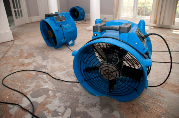 Best Water damage contractors near me  in Gold Key Lake, PA
