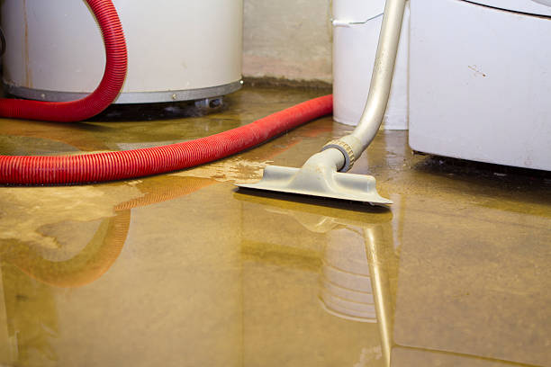 Best Ceiling water damage repair  in Gold Key Lake, PA