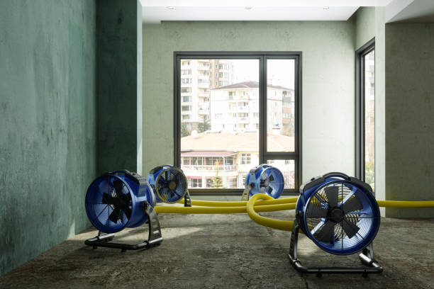 Best Mold removal after water damage  in Gold Key Lake, PA
